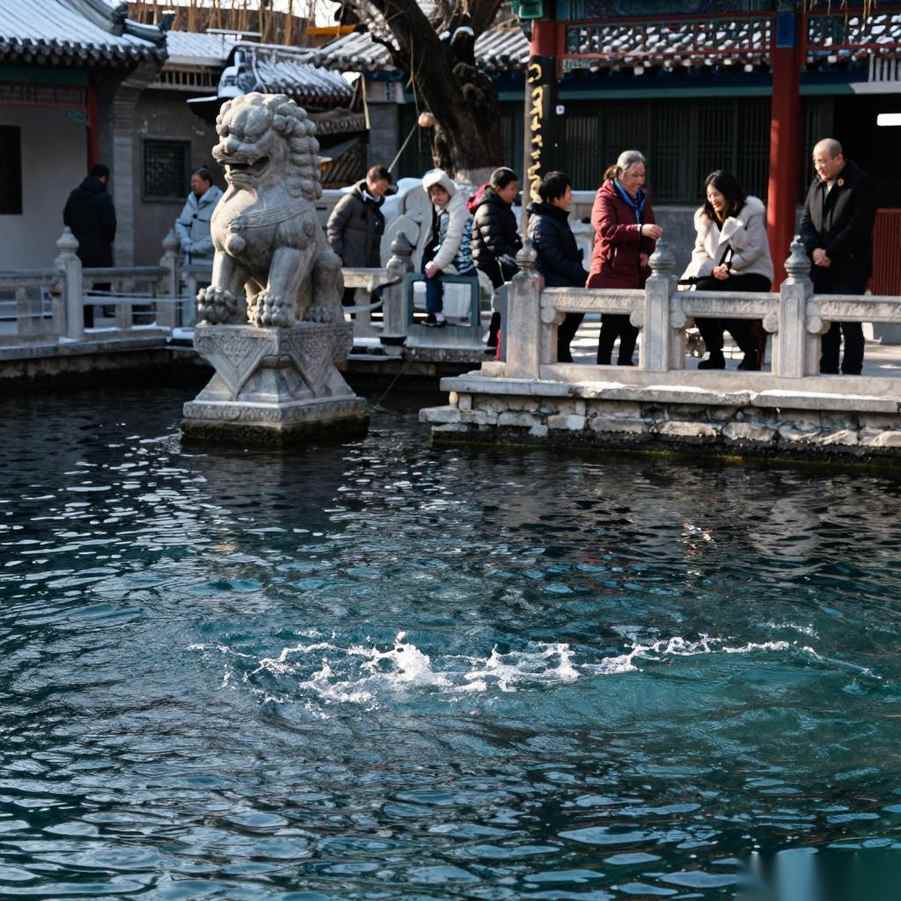 国际残疾人日｜“济南这座城很暖!”黑虎泉畔的“周六约定”帮聋哑人架起沟通桥