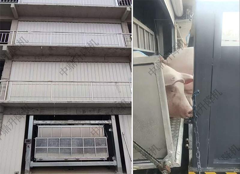 现代化楼房养猪场专用智能提升系统解决方案 2026-01-16(图3)