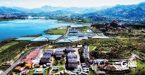 整合资源优势“抱团共富”，青岛以片区组团发展推进乡村全面振兴