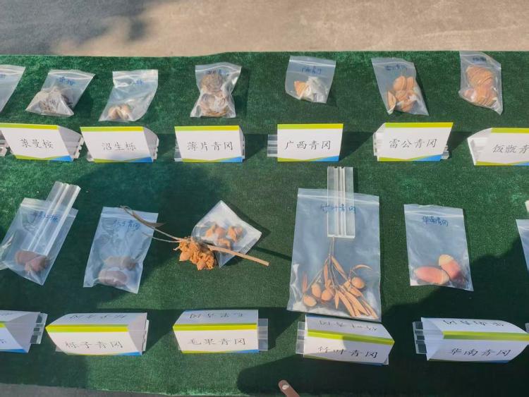 山东基本摸清林草种质资源“绿色家底”