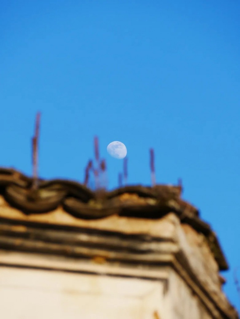 庭午，蝉没收了时间(图9)