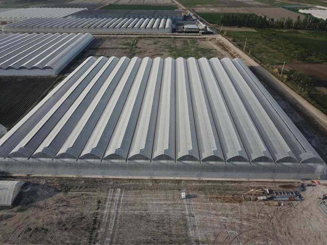 “棚”友圈遍及30国！寿光95后让中国大棚“出海”又出圈(图1)