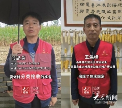 雨幕下的山东秋粮“保卫战”(图6)