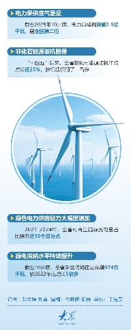 “白色森林”装上智慧大脑，山东探路海上风电运维新模式