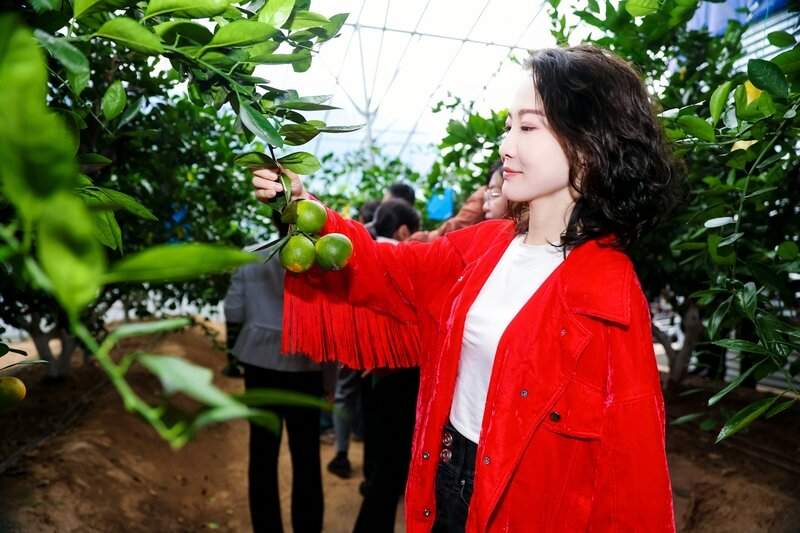 聊城：科技润泽乡村沃野，重构传统农耕图景|海岱文化谱新篇