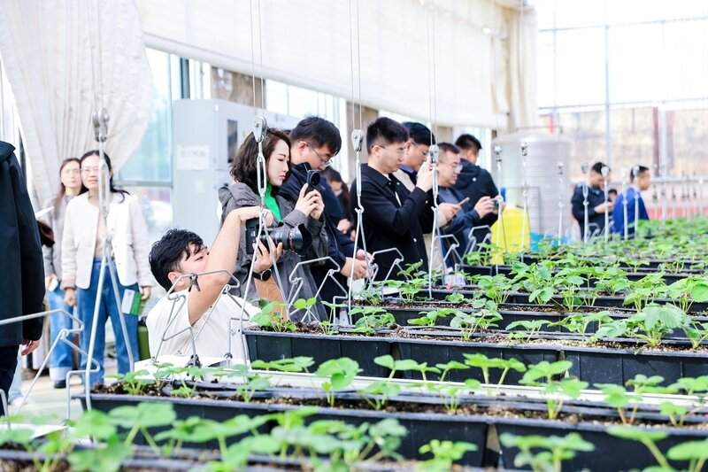 聊城:科技润泽乡村沃野,重构传统农耕图景|海岱文化谱新篇(图3)