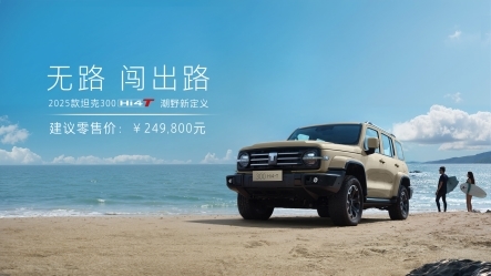 20万左右预算必看新能源车推荐，谁是性价比之王 - 新龙谷信息港