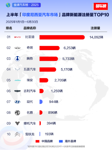 2025上半年比亚迪领跑全球多个新能源汽车市场(图7)