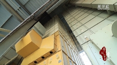 山东巨野：“抢收+烘干”助力玉米丰收(图3)