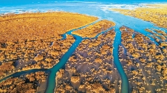 时政眼|“十五五”,怎么拼?读懂山东“14810”(图7) 时政眼|“十五五”,怎么拼?读懂山东“14810”(图7)