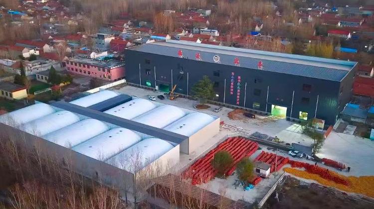 年产1500万棒！新泰这个村的菌菇工厂能让300多村民家门口就业(图1)