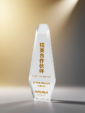 宇电温控科技获评北方华创“精英合作伙伴”称号