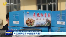 片区凝聚合力 产业抱团突围丨片区化推进乡村振兴的山东实践(图1) 片区凝聚合力 产业抱团突围丨片区化推进乡村振兴的山东实践(图1)