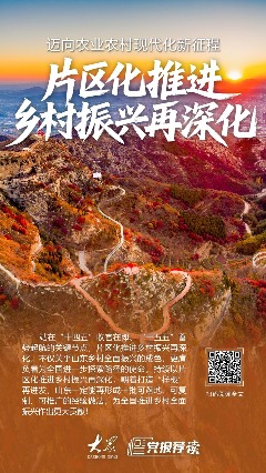 迈向农业农村现代化新征程，片区化推进乡村振兴再深化(图1)