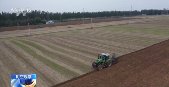 晚播小麦如何保产量？霜降抢秋该怎么抢？专家分析