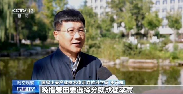 晚播小麦如何保产量?霜降抢秋该怎么抢?专家分析(图2) 晚播小麦如何保产量?霜降抢秋该怎么抢?专家分析(图2)