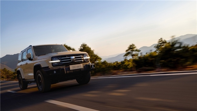 20万左右新能源车推荐，家用SUV指南来了(图2)