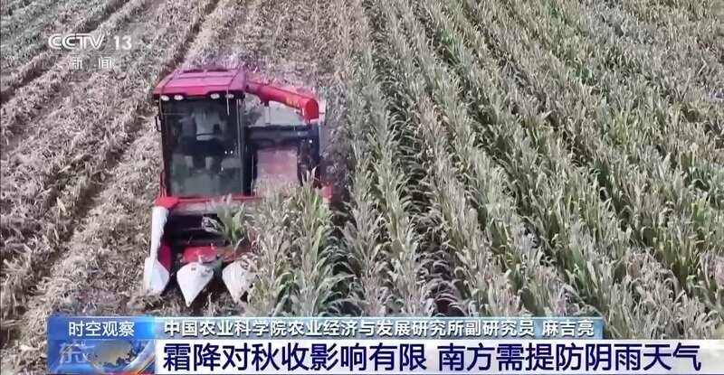 晚播小麦如何保产量?霜降抢秋该怎么抢?专家分析(图6) 晚播小麦如何保产量?霜降抢秋该怎么抢?专家分析(图6)