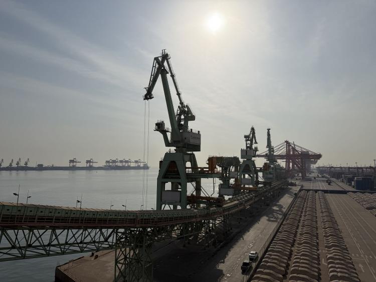 日照港粮食卸船机实现自主化突破(图1)