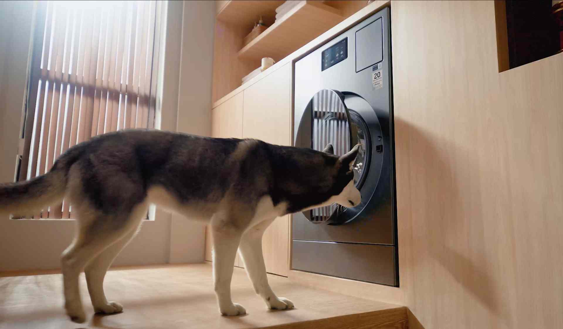 三星AI神 黑钻热泵洗烘旗舰：智慧洗烘一键掌控 让养宠家庭更安心(图4)