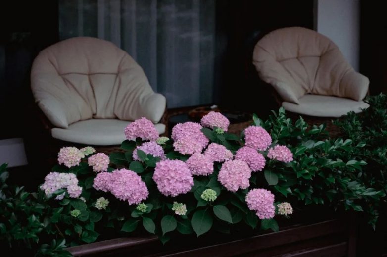 逃离城市计划：在黄山西递泊心云舍醒来，推窗便是江南旧梦(图9)