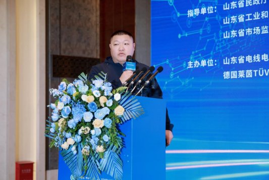 山东省电线电缆行业高质量发展大会暨线缆出海新风向发展会议在济南举行(图16) 山东省电线电缆行业高质量发展大会暨线缆出海新风向发展会议在济南举行(图16)