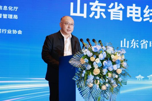 山东省电线电缆行业高质量发展大会暨线缆出海新风向发展会议在济南举行(图7) 山东省电线电缆行业高质量发展大会暨线缆出海新风向发展会议在济南举行(图7)