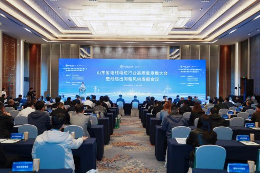 山东省电线电缆行业高质量发展大会暨线缆出海新风向发展会议在济南举行(图1) 山东省电线电缆行业高质量发展大会暨线缆出海新风向发展会议在济南举行(图1)