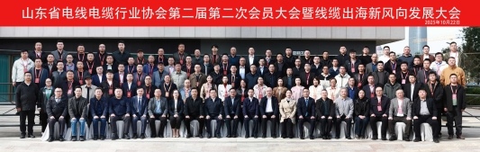 山东省电线电缆行业高质量发展大会暨线缆出海新风向发展会议在济南举行(图21) 山东省电线电缆行业高质量发展大会暨线缆出海新风向发展会议在济南举行(图21)