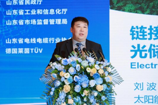 山东省电线电缆行业高质量发展大会暨线缆出海新风向发展会议在济南举行(图13) 山东省电线电缆行业高质量发展大会暨线缆出海新风向发展会议在济南举行(图13)