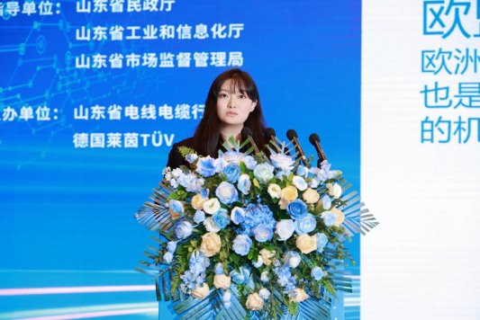 山东省电线电缆行业高质量发展大会暨线缆出海新风向发展会议在济南举行(图15) 山东省电线电缆行业高质量发展大会暨线缆出海新风向发展会议在济南举行(图15)