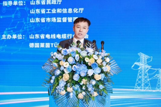 山东省电线电缆行业高质量发展大会暨线缆出海新风向发展会议在济南举行(图5) 山东省电线电缆行业高质量发展大会暨线缆出海新风向发展会议在济南举行(图5)