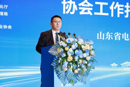 山东省电线电缆行业高质量发展大会暨线缆出海新风向发展会议在济南举行(图6) 山东省电线电缆行业高质量发展大会暨线缆出海新风向发展会议在济南举行(图6)