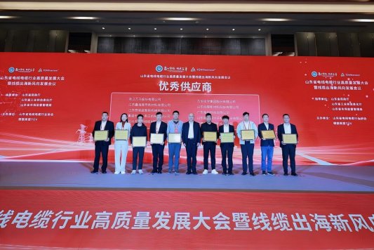 山东省电线电缆行业高质量发展大会暨线缆出海新风向发展会议在济南举行(图18) 山东省电线电缆行业高质量发展大会暨线缆出海新风向发展会议在济南举行(图18)