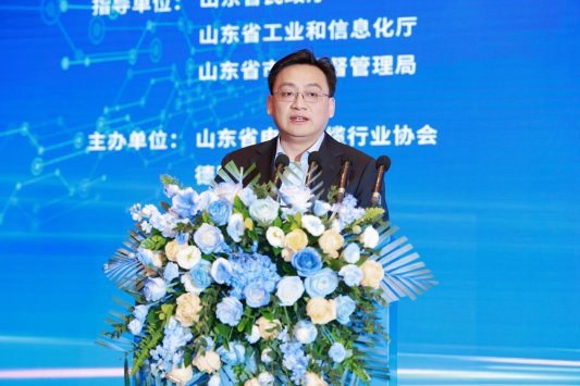 山东省电线电缆行业高质量发展大会暨线缆出海新风向发展会议在济南举行(图2) 山东省电线电缆行业高质量发展大会暨线缆出海新风向发展会议在济南举行(图2)