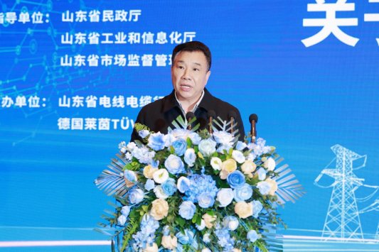 山东省电线电缆行业高质量发展大会暨线缆出海新风向发展会议在济南举行(图8) 山东省电线电缆行业高质量发展大会暨线缆出海新风向发展会议在济南举行(图8)