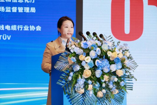 山东省电线电缆行业高质量发展大会暨线缆出海新风向发展会议在济南举行(图10) 山东省电线电缆行业高质量发展大会暨线缆出海新风向发展会议在济南举行(图10)