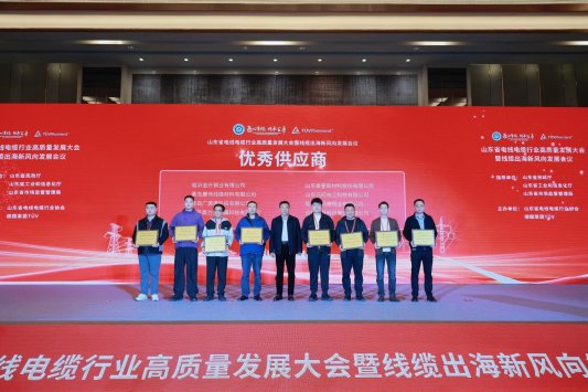 山东省电线电缆行业高质量发展大会暨线缆出海新风向发展会议在济南举行(图19) 山东省电线电缆行业高质量发展大会暨线缆出海新风向发展会议在济南举行(图19)