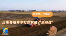 齐鲁“抢秋”｜抓秋种、忙备耕！山东科学打好秋播“主动仗”(图1)