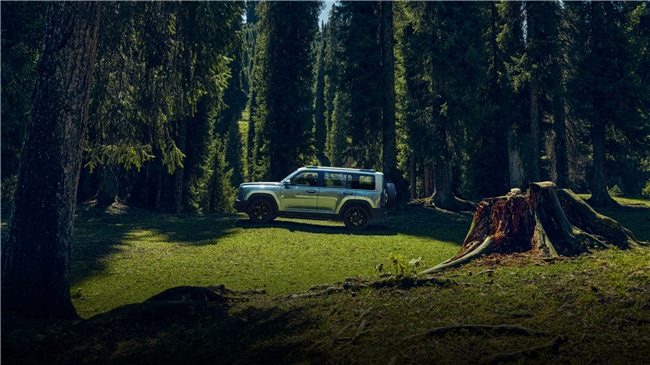 20万左右买什么车好最新推荐，新能源SUV实力派车型详解