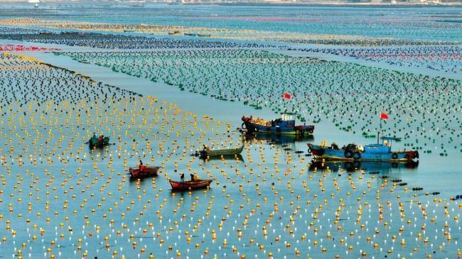 齐鲁向“蓝”:从“讨海人”到“牧海者”(图2) 齐鲁向“蓝”:从“讨海人”到“牧海者”(图2)