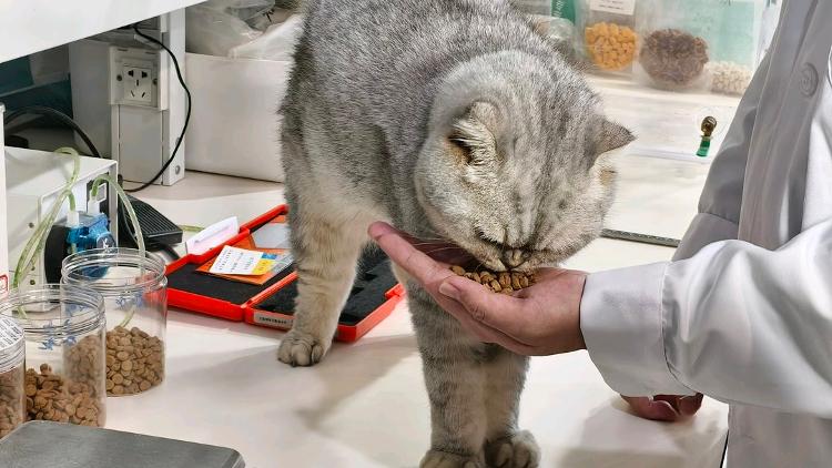 济南高新区激活新消费赛道(图3)