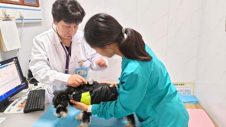 济南高新区激活新消费赛道(图2)