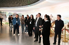 沿着黄河遇见海|大汶口遗址:黄河下游的文明曙光(图3) 沿着黄河遇见海|大汶口遗址:黄河下游的文明曙光(图3)