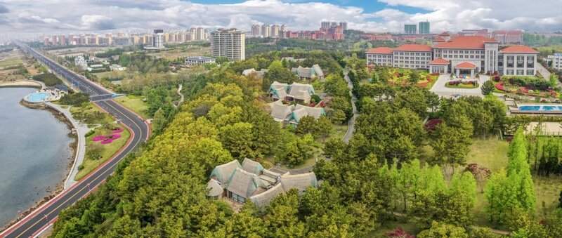 全国首条“天鹅旅游专线列车”开行 山东荣成发出冬日邀约(图4)