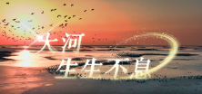 沿着黄河遇见海丨大河，生生不息(图1)