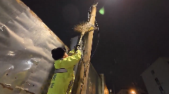 外交部发言人毛宁点赞山东交警!(图7) 外交部发言人毛宁点赞山东交警!(图7)