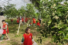 山东潍坊市坊子区以农文旅融合绘就乡村振兴新图景(图1)