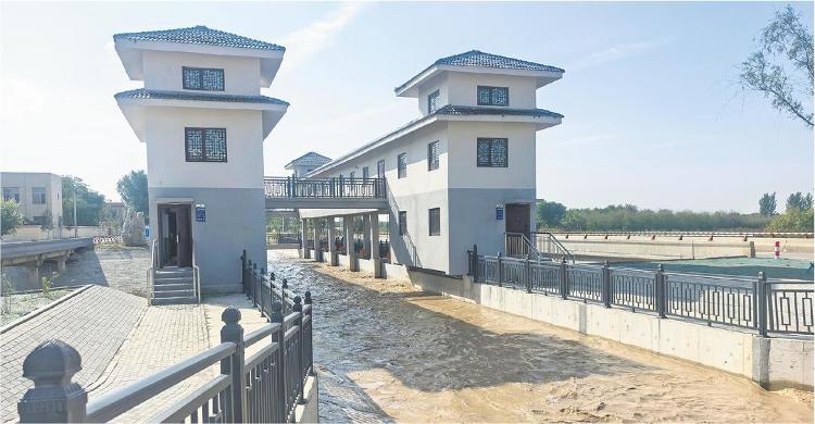 山东以1%水资源撬动8%粮食产量！农业节水之路藏着这些密码(图1)