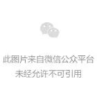 活力全开！2025年山东省匹克球冠军赛激情开赛(图2)